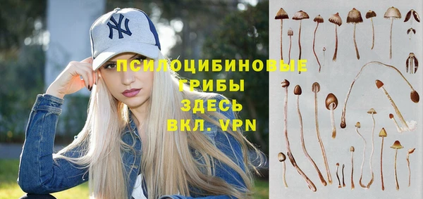 бутират Алексеевка