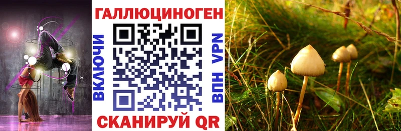 Галлюциногенные грибы GOLDEN TEACHER  наркота  Морозовск 