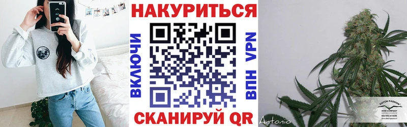 блэк спрут ONION  где можно купить   Морозовск  Бошки марихуана SATIVA & INDICA 
